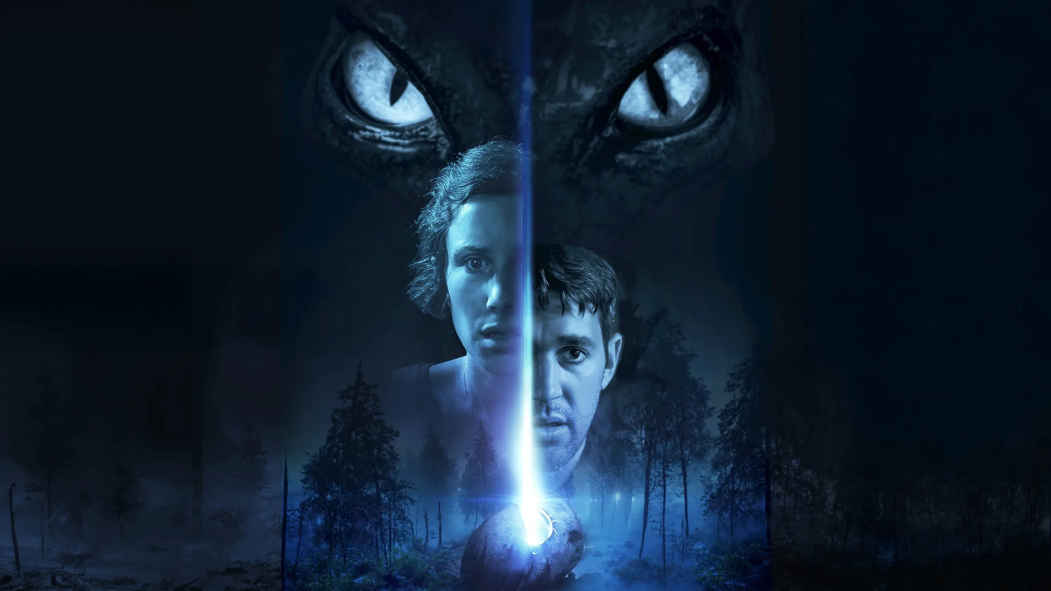 Постер фильма «Wellwood»