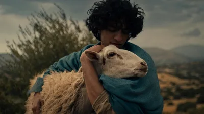 Постер 1 серии 1 сезона сериала «Дом Давида»
