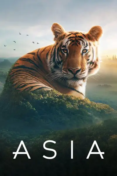 Постер фильма «Asia»