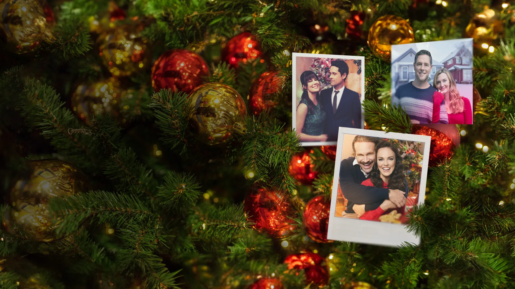 Постер фильма «Deck the Halls on Cherry Lane»