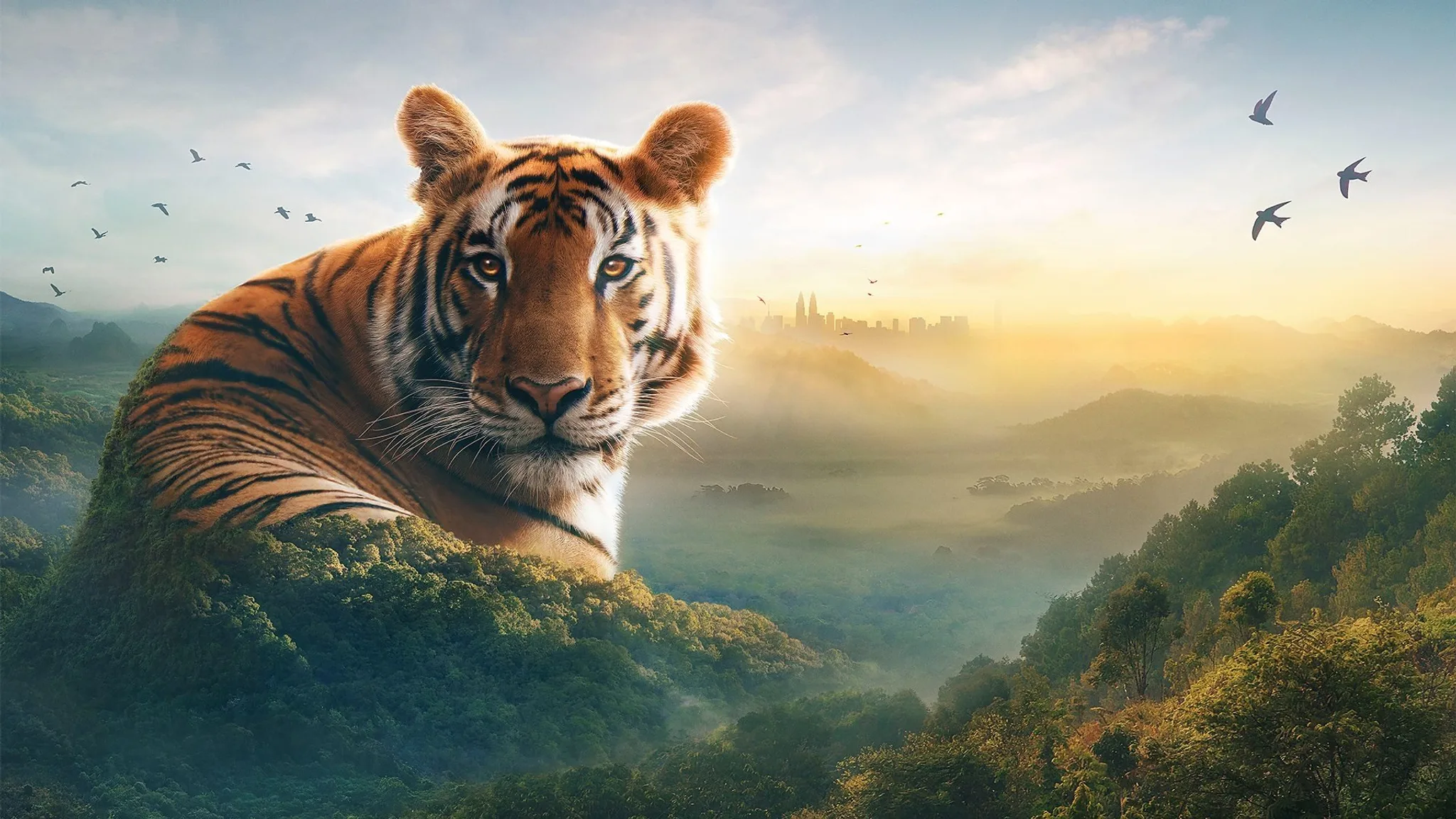 Постер фильма «Asia»