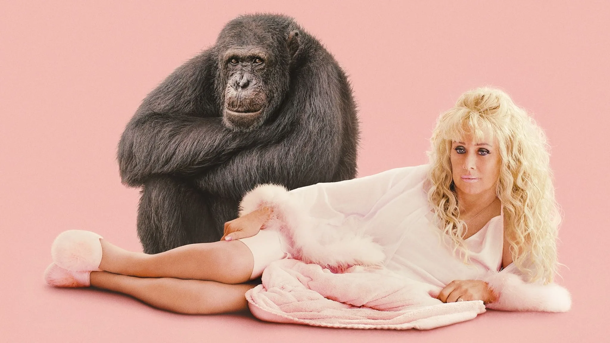 Постер фильма «Chimp Crazy»