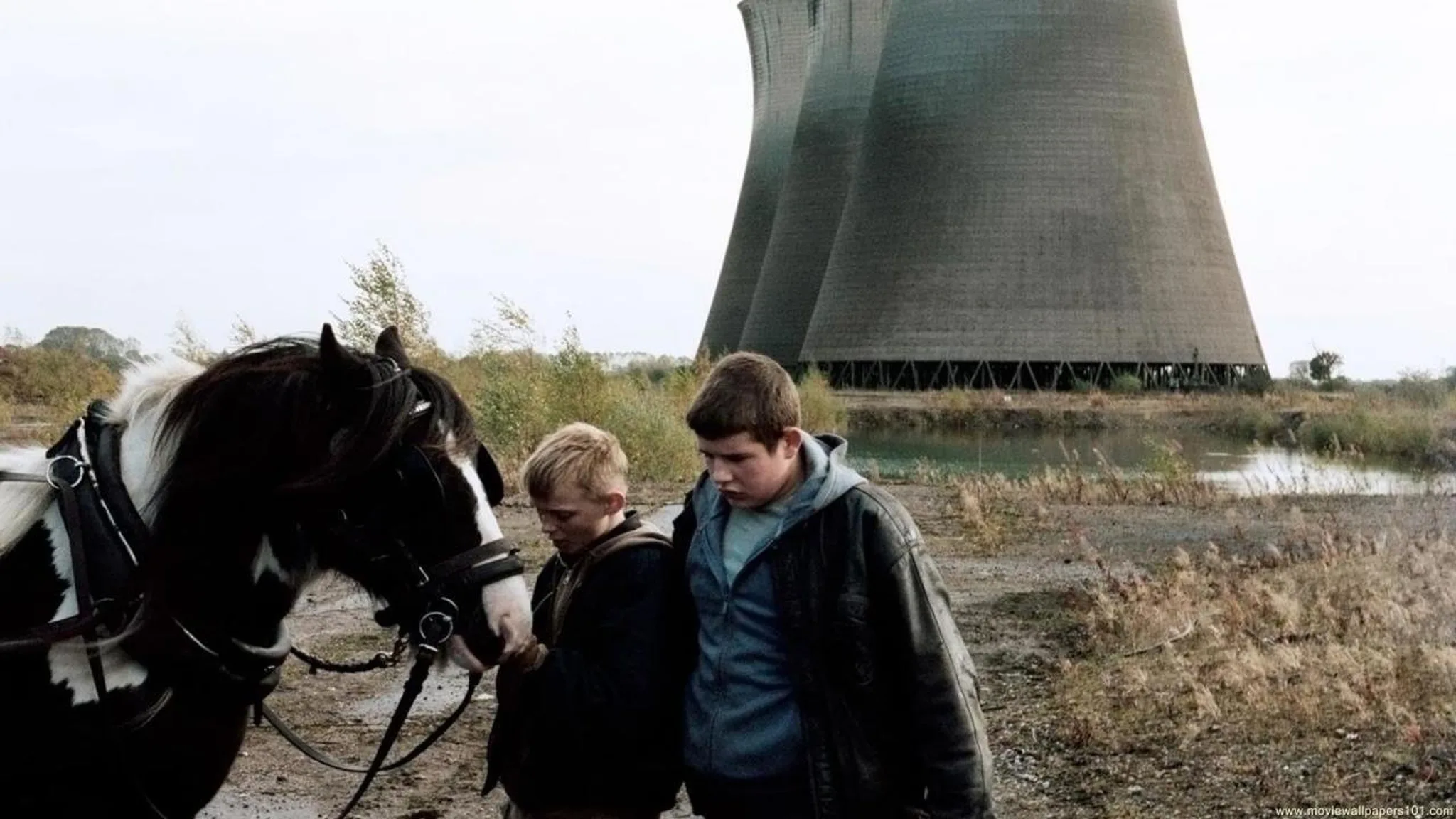 Постер фильма «The Selfish Giant»