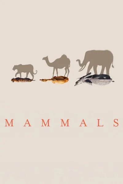Постер фильма «Mammals»