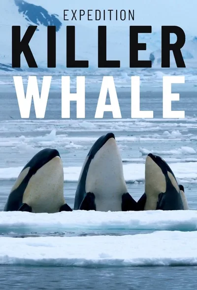 Постер фильма «Expedition Killer Whale»