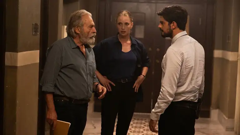Постер 8 серии 1 сезона сериала «Турецкий детектив»