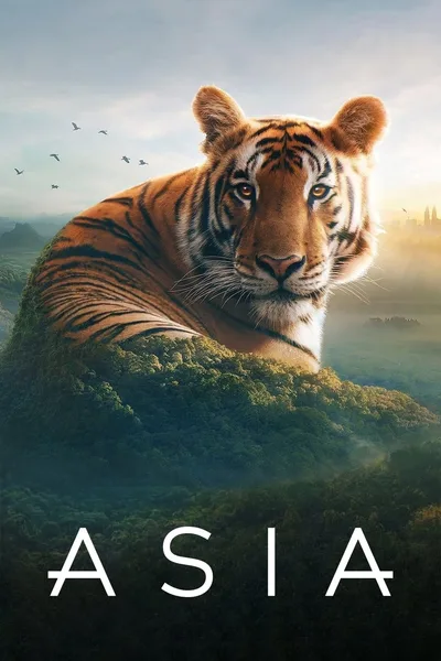 Постер фильма «Asia»