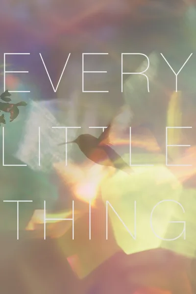 Постер фильма «Every Little Thing»