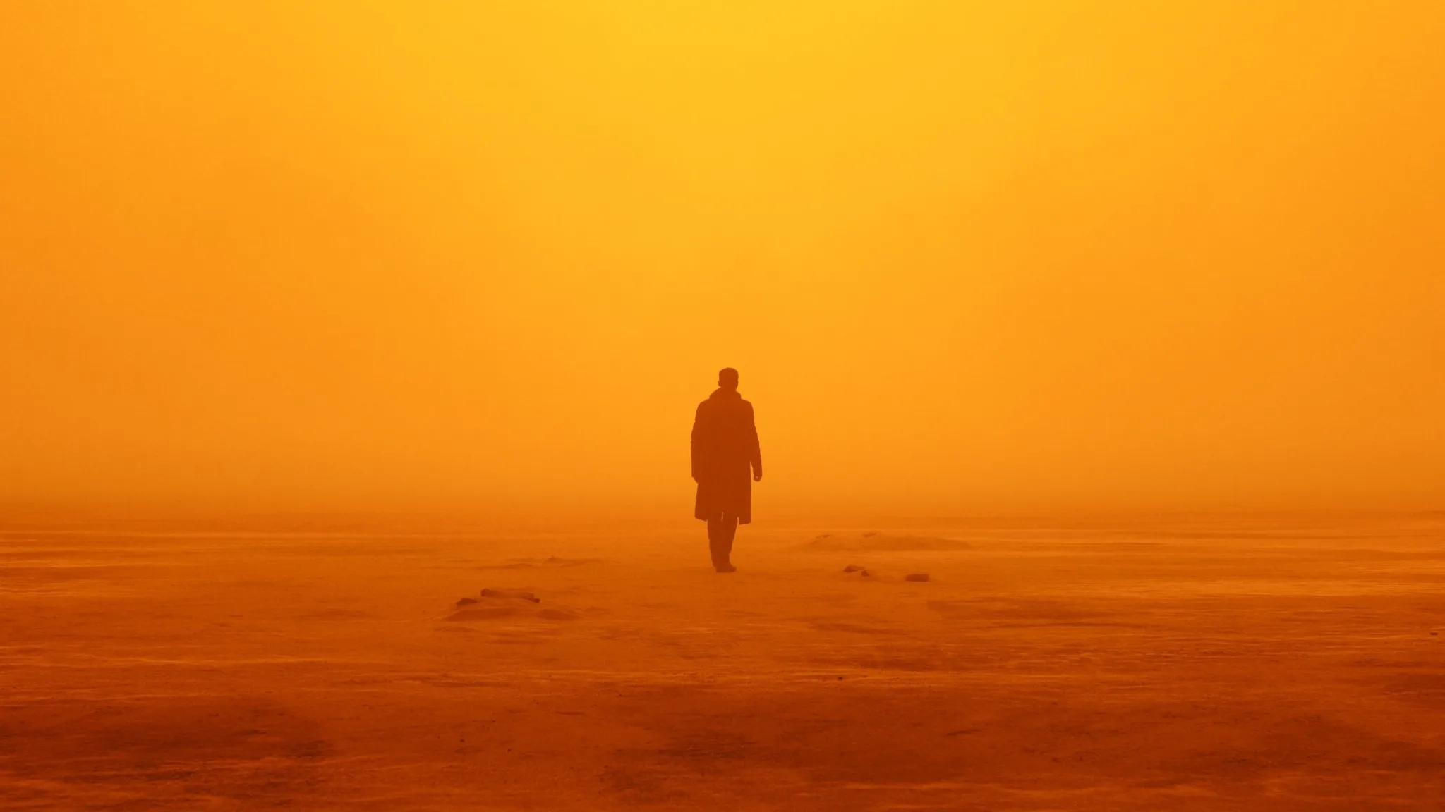 Постер фильма «Бегущий по лезвию 2049»