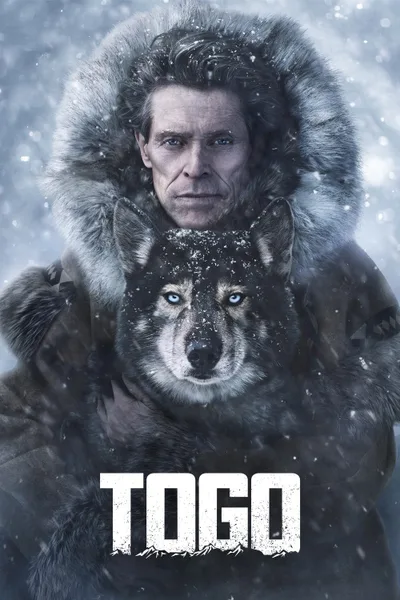 Постер фильма «Того»